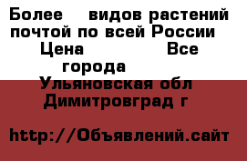 Более200 видов растений почтой по всей России › Цена ­ 100-500 - Все города  »    . Ульяновская обл.,Димитровград г.